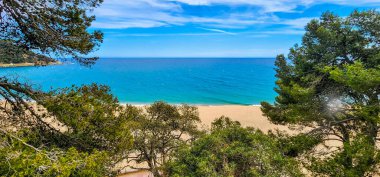 Çam ormanındaki bir dağdan deniz manzarası. Bulutlu gökyüzü, turkuaz su ve kumlu plaj. Güneşli bir gün. Akdeniz ve sahil. Çam ormanı. Yaz günü. Costa Brava. İspanya.