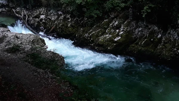 斯洛文尼亚特里格拉夫国家公园一条野生河流上的森林中美丽的瀑布 — 图库照片