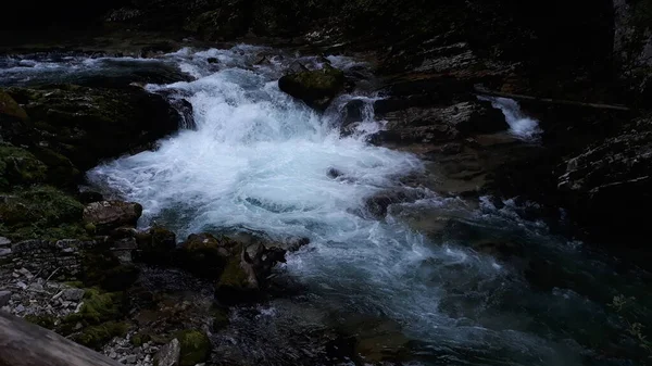Rio Selvagem Parque Nacional Triglav Eslovênia Rio Que Flui Meio — Fotografia de Stock
