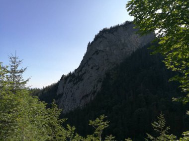 Slovakya 'nın High Tatras kentindeki dağların güzel manzarası