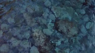 Denizin ve dağların havadan görünüşü