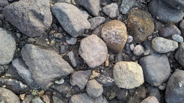 Uma Coleção Pedras Chão — Fotografia de Stock