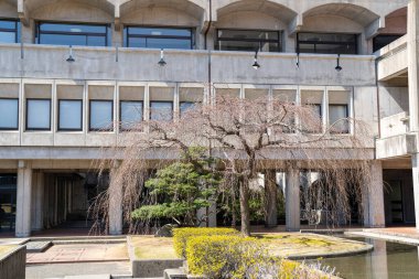 Japon üniversite binası ve doğa