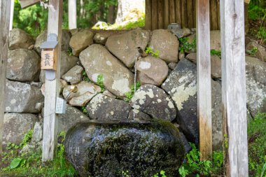 Japon güzel dağı ve ormanı 