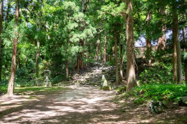 Japon güzel dağı ve ormanı 