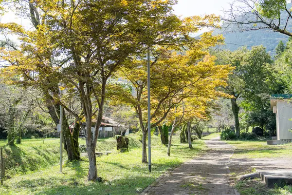 Paesaggio Passeggiate Nel Parco Asatori Nella Città Ibigawa Prefettura Gifu — Foto Stock