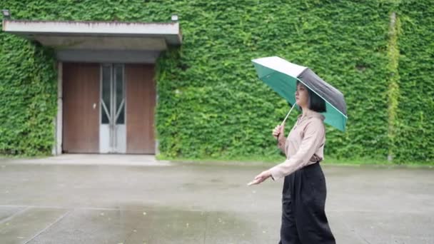 Una Joven Taiwanesa Camina Con Paraguas Edificio Artístico Parque Cultural — Vídeo de stock