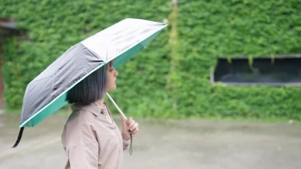 Młoda Tajwańska Kobieta Spaceruje Parasolem Budynku Artystycznym Huashan 1914 Cultural — Wideo stockowe