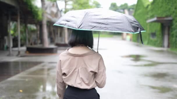 Una Giovane Taiwanese Cammina Con Ombrello Edificio Artistico Nel Parco — Video Stock