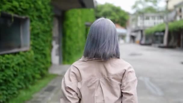 Ung Taiwanesisk Kvinna Som Gör Olika Ansikten Konstnärlig Byggnad Huashan — Stockvideo