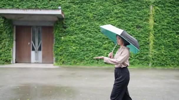 台湾の若い女性は 台北のHuashan 1914文化クリエイティブパークの芸術的な建物で傘を持って歩いています — ストック動画