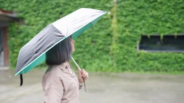 Молода Тайванка Гуляє Парасолькою Художній Будівлі Культурно Творчому Парку Хаашан — стокове відео