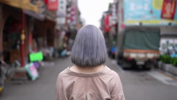 Una Giovane Donna Taiwanese Che Cammina Lungo Dihua Street Quartiere — Video Stock