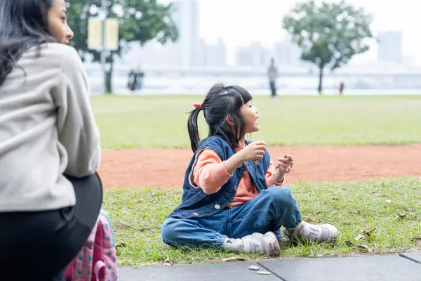 Tayvan 'ın Taipei şehrinde Datong Bölgesi' nde büyük bir parkta oynayan çocuklar ve aileler.