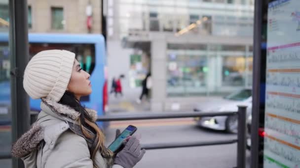 Filmik Młodą Filipinką Dwudziestce Spacerującą Seulu Korea Południowa Mroźny Zimowy — Wideo stockowe