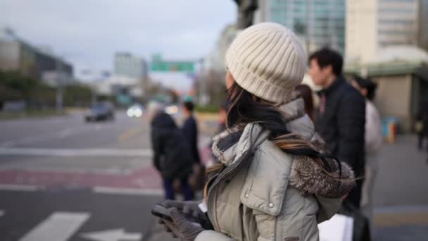 겨울의 서울에서 걷고있는 필리핀 여성의 슬로우 비디오 — 비디오