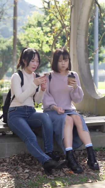 Langsom Bevægelse Lodret Video Unge Taiwanesiske Kvindelige Universitetsstuderende Sidder Bænk – Stock-video
