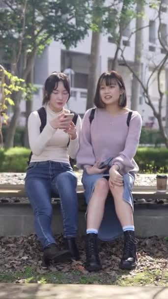 Lodret Video Unge Taiwanesiske Kvindelige Universitetsstuderende Sidder Lykkeligt Taler Universitet – Stock-video