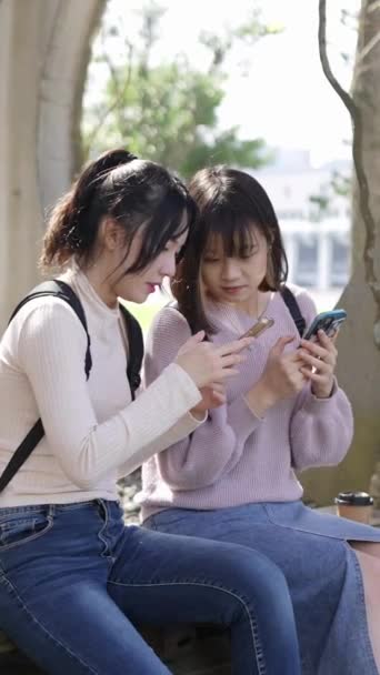Vídeo Vertical Duas Jovens Estudantes Universitárias Taiwanesas Sentadas Felizes Conversando — Vídeo de Stock