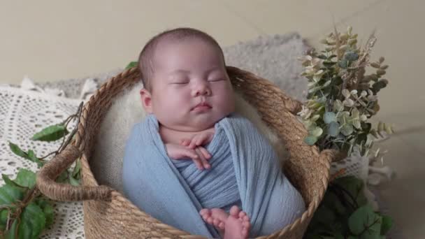 32歳の台湾人の赤ちゃんが青いラップに包まれ 新生児のフォトゴーリヒを撮りました — ストック動画