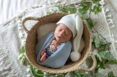 Tayvanlı ve yarı Avustralyalı bir bebeğin yeni doğan fotoğrafçılığı. 8 gün önce doğan bebek mavi bir pakete sarılmış bir sepetin içinde uyuyor.