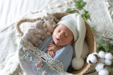 Tayvanlı ve yarı Avustralyalı bir bebeğin yeni doğan fotoğrafçılığı. 8 gün önce doğan bebek mavi bir pakete sarılmış bir sepetin içinde uyuyor.