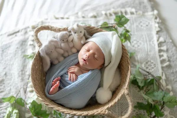 Newborn photography of a Taiwanese and half-Australian half-born 8 days old newborn baby sleeping in a basket wrapped in a blue wrap