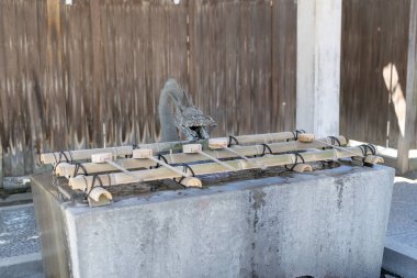 Chiryu Şehrindeki Chiryu Tapınağı 'nı ziyaret edin.