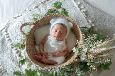 8 günlük Tayvanlı ve yarı Avustralyalı yeni doğmuş bir bebeğin ayı kostümü giymiş bir sepetin içinde uyuduğu yeni doğan fotoğrafı.