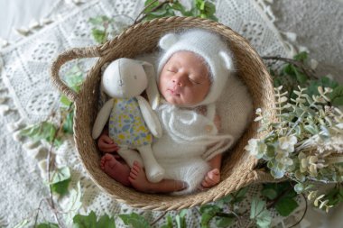 8 günlük Tayvanlı ve yarı Avustralyalı yeni doğmuş bir bebeğin ayı kostümü giymiş bir sepetin içinde uyuduğu yeni doğan fotoğrafı.