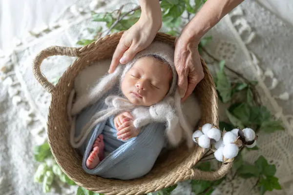 8 günlük Tayvanlı ve yarı Avustralyalı yeni doğmuş bir bebeğin, anne ve babaannelerinin desteklediği bir sepet içinde ayı ya da tavşan kostümüyle uyuduğu yeni doğan bir fotoğraf.