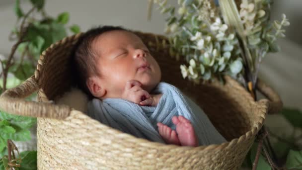 8日間の台湾の赤ちゃんが青いラップに包まれ ウサギの耳の帽子をかぶったシーンは笑い 新生児の写真を撮っています — ストック動画