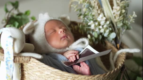 照片中 一个八天大的台湾婴儿裹着蓝色被子 头戴兔耳帽 笑着拍了一张新生儿照片 — 图库视频影像