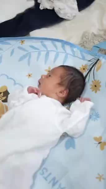 青いラップに包まれたソファーで寝ている8日間の台湾の赤ちゃんの垂直ビデオ — ストック動画