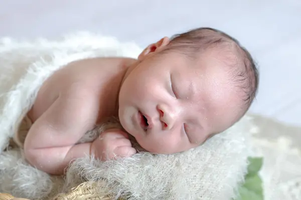 Foto Yang Baru Lahir Dari Seorang Bayi Taiwan Berusia Hari Stok Foto