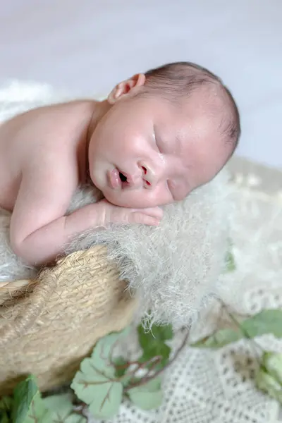 Foto Yang Baru Lahir Dari Seorang Bayi Taiwan Berusia Hari Stok Lukisan  