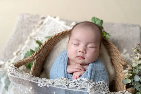 台湾宜兰1个月大的台湾婴儿的新生儿照片 图库图片