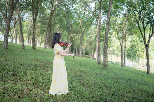 Serin bir fotoğraf, 20 'li yaşlarda, çarpıcı sarı bir elbise giymiş, Kuala Lumpur' da bereketli, doğa dolu bir parkta zarif bir şekilde keman çalan genç bir Çinli-Malezyalı kadını resmediyor.