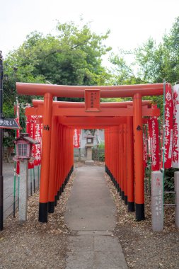 Nagoya, Nishi Ward 'daki Inu Tapınağı' nda bir ziyaret ve dua sahnesi..