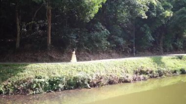 20 'li yaşlarda, sarı elbiseli Çinli bir kadın Malezya' nın Kuala Lumpur yakınlarındaki Bukit Jalil 'deki büyük doğa dolu bir parkta gölün kenarında yavaşça yürüyor. (Ağır çekim video)