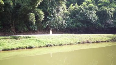 20 'li yaşlarda, sarı elbiseli Çinli bir kadın Malezya' nın Kuala Lumpur yakınlarındaki Bukit Jalil 'deki büyük doğa dolu bir parkta gölün kenarında yavaşça yürüyor. (Ağır çekim video)