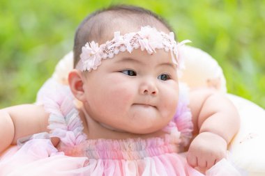 Tayvanlı bir çift 20 'li yaşlarda ve 7 aylık bebekleri Yilan County, Tayvan' daki geniş yeşil bir parkta yıldönümlerini kutluyorlar..