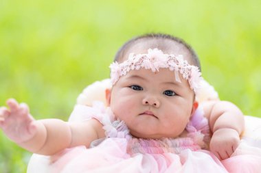 Tayvanlı bir çift 20 'li yaşlarda ve 7 aylık bebekleri Yilan County, Tayvan' daki geniş yeşil bir parkta yıldönümlerini kutluyorlar..