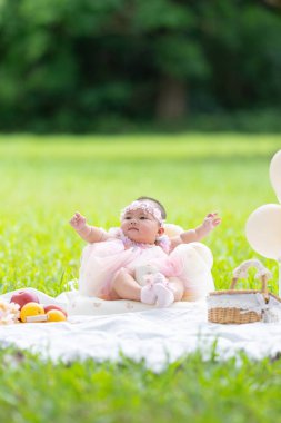 Tayvanlı bir çift 20 'li yaşlarda ve 7 aylık bebekleri Yilan County, Tayvan' daki geniş yeşil bir parkta yıldönümlerini kutluyorlar..