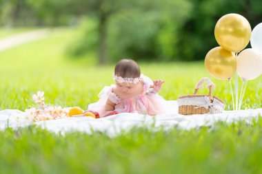 Tayvanlı bir çift 20 'li yaşlarda ve 7 aylık bebekleri Yilan County, Tayvan' daki geniş yeşil bir parkta yıldönümlerini kutluyorlar..