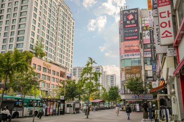 Güney Kore, Seul 'de dolaş. 10 Ekim 2024.