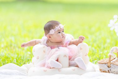 Tayvanlı bir çift 20 'li yaşlarda ve 7 aylık bebekleri Yilan County, Tayvan' daki geniş yeşil bir parkta yıldönümlerini kutluyorlar..