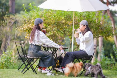 Koreli bir erkek ve bir Japon kadın, ikisi de 30 'larında ve evli bir çift, Gyeongchun-ro, Namyangju-si, Gyeonggi-do, Kore' de bulunan şık bir kafede üç köpekle sonbahar brunch 'ı yapıyorlar..