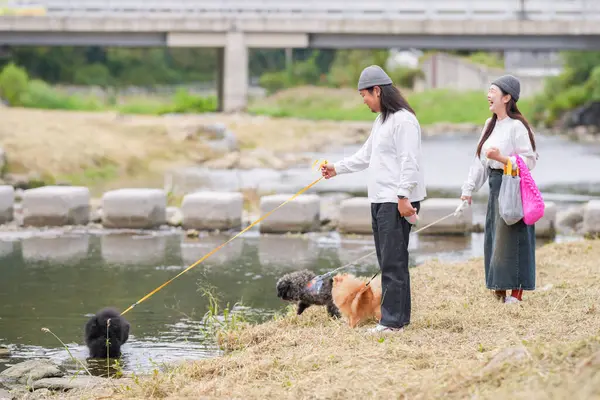 Koreli bir erkek ve bir Japon kadın, ikisi de 30 'larında, Pyeongnae-dong, Namyangju-si, Gyeonggi-do, Kore' de nehir kenarında üç köpek gezdiriyorlar..