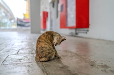 16 Haziran 2024 sabahı Taman Ma MRT İstasyonu, Taman Pinggiran Putra, 43300 Sri Kembangan, Selangor, Malezya.